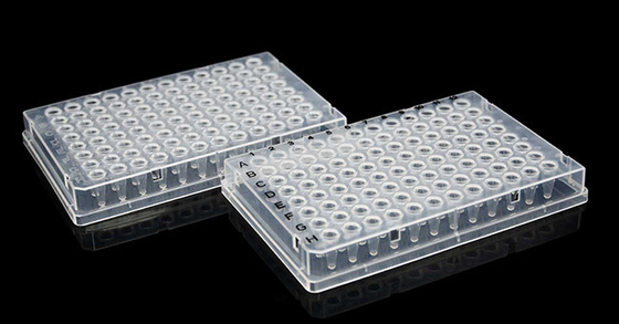 Full Skirt PCR Consumables 0.1ml UV Transparent 96 Well Plate Disposable