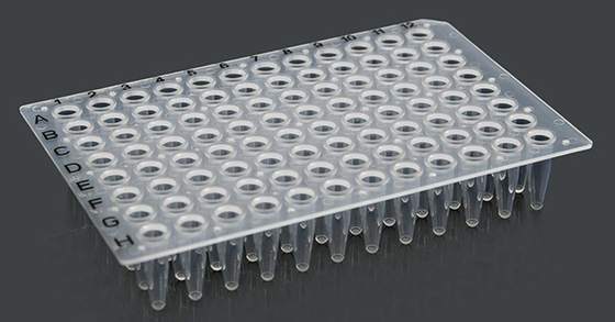 0.2ml 96 Well Culture Plate , PP Non Skirted PCR Plate Medical Grade