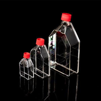 Disposable Sterile PCR Consumables 25cm2 Tissue Culture Flask