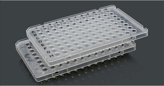 Disposable Clear ABI 96 Well Skirted PCR Plates Polypropylene