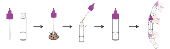 Easy Operation Blood Sugar Monitor Glycosylated Hemoglobin (HbA1C) Test Strips (Dry chemical method) CE Registered