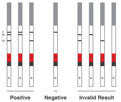 Malaria PF PV Antigen Test By Colloidal Gold IVD Test Reagent