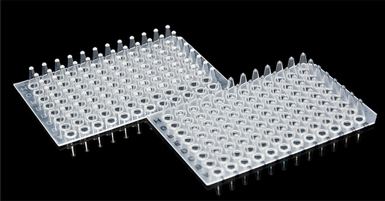 Non Skirted PCR Consumables 0.1ml 96 Well PCR Plate For Lab