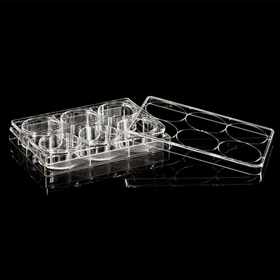 ISO13485 Polystyrene PCR Consumables 6 Well Cell Culture Plate