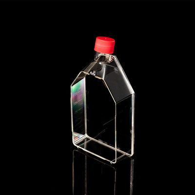 Disposable Sterile PCR Consumables 25cm2 Tissue Culture Flask