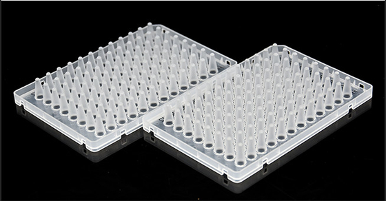 Disposable Clear ABI 96 Well Skirted PCR Plates Polypropylene