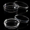 PP 100mm Cell Culture Dish , Disposable Plastic Petri Dish