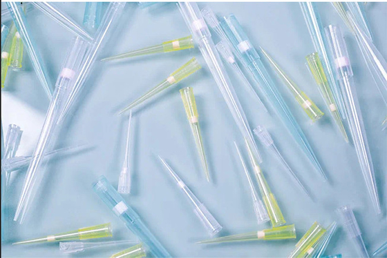 Laboratory 300ul Low Retention Filter Pipette Tips DNAse Free